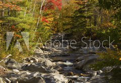 Fototapeta vliesov 145 x 100, 93409854 - The Baker River flows through fall foliage, Warren, New Hampshir