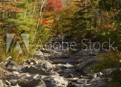 Samolepka flie 200 x 144, 93409854 - The Baker River flows through fall foliage, Warren, New Hampshir - Baker River protk podzimn list, Warren, New Hampshir