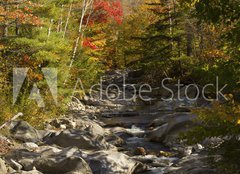 Fototapeta pltno 240 x 174, 93409854 - The Baker River flows through fall foliage, Warren, New Hampshir - Baker River protk podzimn list, Warren, New Hampshir