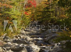 Fototapeta pltno 330 x 244, 93409854 - The Baker River flows through fall foliage, Warren, New Hampshir