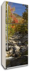 Samolepka na lednici flie 80 x 200  The Baker River flows through fall foliage, Warren, New Hampshir, 80 x 200 cm
