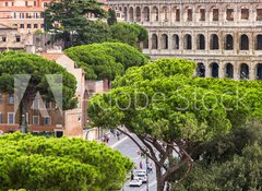Samolepka flie 100 x 73, 94095592 - Exterior view of the Colosseum in Rome with green trees around.