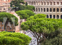 Fototapeta pltno 160 x 116, 94095592 - Exterior view of the Colosseum in Rome with green trees around.