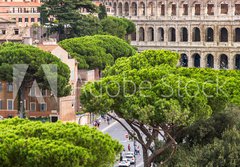 Fototapeta papr 184 x 128, 94095592 - Exterior view of the Colosseum in Rome with green trees around.