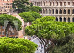 Samolepka flie 200 x 144, 94095592 - Exterior view of the Colosseum in Rome with green trees around.