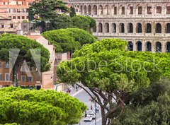 Fototapeta pltno 330 x 244, 94095592 - Exterior view of the Colosseum in Rome with green trees around.