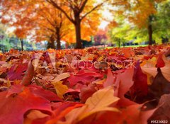 Samolepka flie 100 x 73, 95226612 - autumn leaves - podzimn list