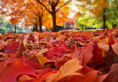 Fototapeta174 x 120  autumn leaves, 174 x 120 cm