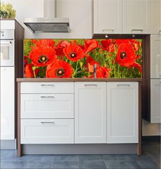 Fototapeta do kuchyn flie 180 x 60  Poppies, 180 x 60 cm
