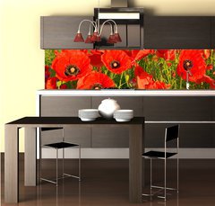 Fototapeta do kuchyn flie 260 x 60, 95383540 - Poppies