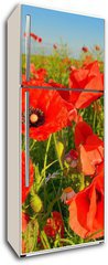 Samolepka na lednici flie 80 x 200, 95383540 - Poppies