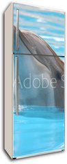 Samolepka na lednici fólie 80 x 200, 95423 - delfín - dolphin