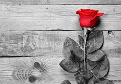 Fototapeta papr 184 x 128, 95876705 - Red rose on black and white wooden background