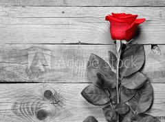 Fototapeta pltno 330 x 244, 95876705 - Red rose on black and white wooden background