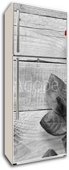Samolepka na lednici flie 80 x 200, 95876705 - Red rose on black and white wooden background