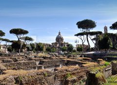 Fototapeta plátno 160 x 116, 96158880 - The part of old town and Roman ruins in Rome - Část starého města a římské zříceniny v Římě