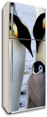 Samolepka na lednici flie 80 x 200, 9651364 - Emperor penguins with chick - Csa tuci s kutkem