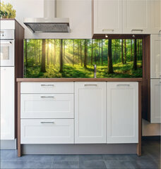 Fototapeta do kuchyn flie 180 x 60, 967529857 - Sunbeams Filtering Through a Lush Forest