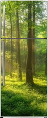 Samolepka na lednici fólie 80 x 200, 967529857 - Sunbeams Filtering Through a Lush Forest