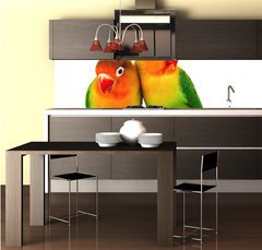 Fototapeta do kuchyn flie 260 x 60, 9682324 - Pair of lovebirds agapornis-fischeri isolated on white