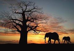 Fototapeta145 x 100  Group of elephant in africa, 145 x 100 cm