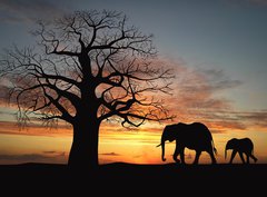 Fototapeta pltno 330 x 244, 9699496 - Group of elephant in africa