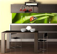 Fototapeta do kuchyn flie 260 x 60  Ladybug, 260 x 60 cm