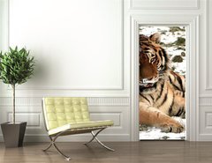 Samolepka na dveře fólie 90 x 220, 9779965 - Tiger