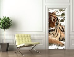 Samolepka na dvee flie 90 x 220  Tiger, 90 x 220 cm