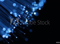 Samolepka flie 100 x 73  Fiber optics, 100 x 73 cm