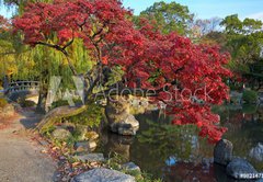 Samolepka flie 145 x 100, 9821471 - summer japanese landscape with pond and trees