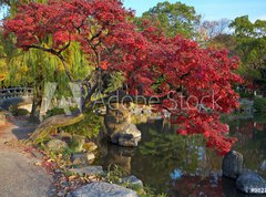 Fototapeta270 x 200  summer japanese landscape with pond and trees, 270 x 200 cm