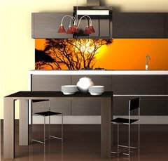 Fototapeta do kuchyně fólie 260 x 60, 9856280 - african sunset in savannah, kenya - africký západ slunce v savaně, kenya