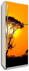 Samolepka na lednici fólie 80 x 200, 9856280 - african sunset in savannah, kenya - africký západ slunce v savaně, kenya