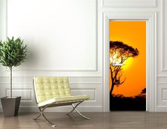 Samolepka na dvee flie 90 x 220, 9856280 - african sunset in savannah, kenya - africk zpad slunce v savan, kenya