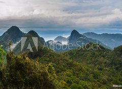Samolepka flie 100 x 73  Langkawi  Inselparadis der Adler im Regenwald, 100 x 73 cm