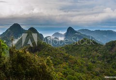 Fototapeta174 x 120  Langkawi  Inselparadis der Adler im Regenwald, 174 x 120 cm