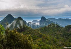 Fototapeta184 x 128  Langkawi  Inselparadis der Adler im Regenwald, 184 x 128 cm