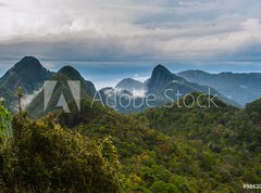 Samolepka flie 270 x 200, 98620191 - Langkawi - Inselparadis der Adler im Regenwald