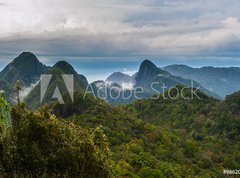 Fototapeta pltno 330 x 244, 98620191 - Langkawi - Inselparadis der Adler im Regenwald