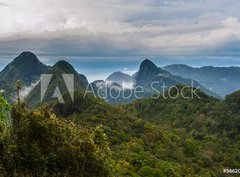 Fototapeta360 x 266  Langkawi  Inselparadis der Adler im Regenwald, 360 x 266 cm