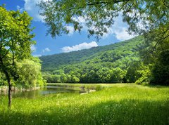 Fototapeta270 x 200  summer landscape with river and blue sky, 270 x 200 cm