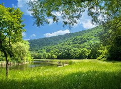 Fototapeta330 x 244  summer landscape with river and blue sky, 330 x 244 cm