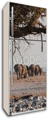 Samolepka na lednici fólie 80 x 200, 98815534 - Elefantenherde verl sst das Wasserloch Etosha Namibia - Elefantenherde verl sst das Wasserloch Etosha Namibie