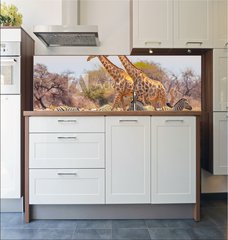 Fototapeta do kuchyn flie 180 x 60, 99320619 - Giraffes and zebras at waterhole - irafy a zebry u napajedla