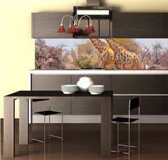 Fototapeta do kuchyně fólie 260 x 60, 99320619 - Giraffes and zebras at waterhole - Žirafy a zebry u napajedla