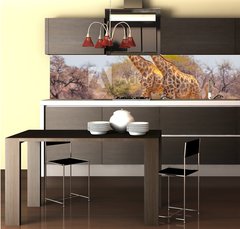 Fototapeta do kuchyn flie 260 x 60  Giraffes and zebras at waterhole, 260 x 60 cm