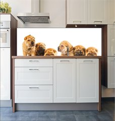Fototapeta do kuchyn flie 180 x 60  Group of beautiful sharpei puppies isolated on white background, 180 x 60 cm