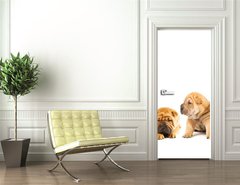 Samolepka na dveře fólie 90 x 220, 9958473 - Group of beautiful sharpei puppies isolated on white background - Skupina krásných štěátek sharpei izolovaných na bílém pozadí