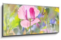 Skleněný obraz 1D panorama - 120 x 50 cm F_AB100106194 - summer meadow with red poppy - letní louka s červeným mákem